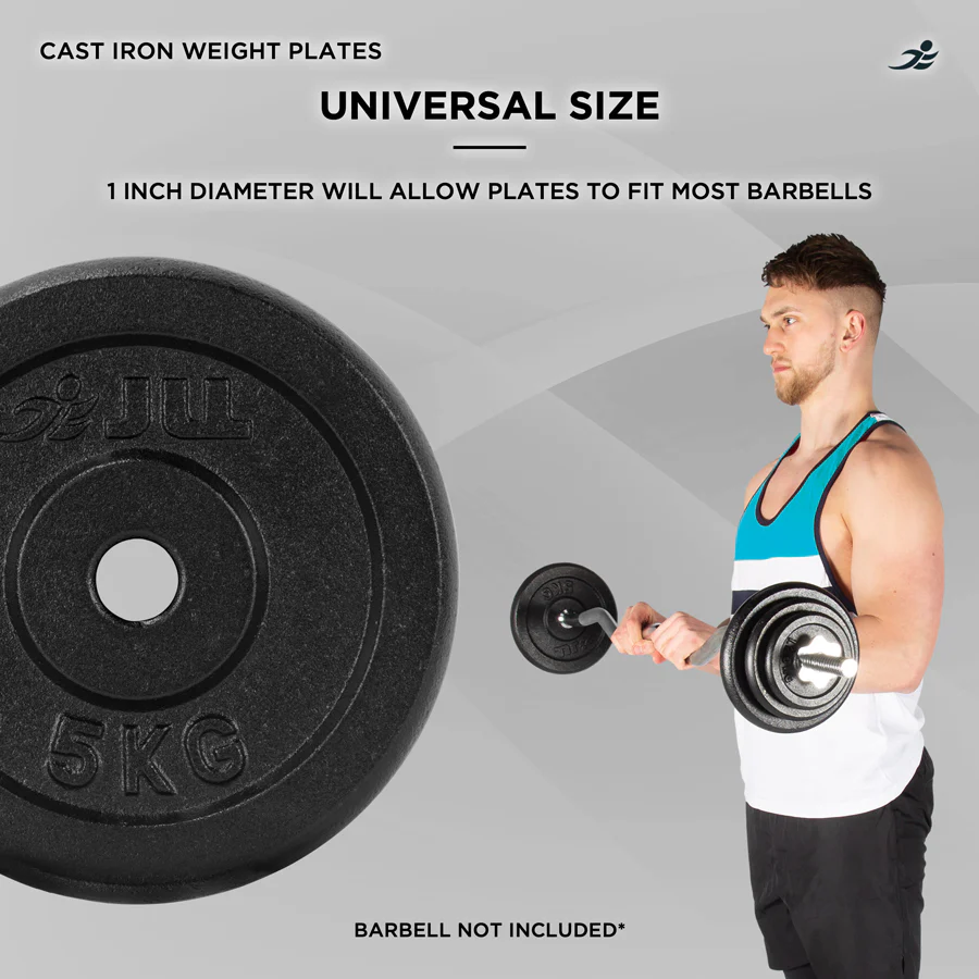 Cast Iron Weight Plates - Image 4